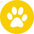Bsports必一体育历程